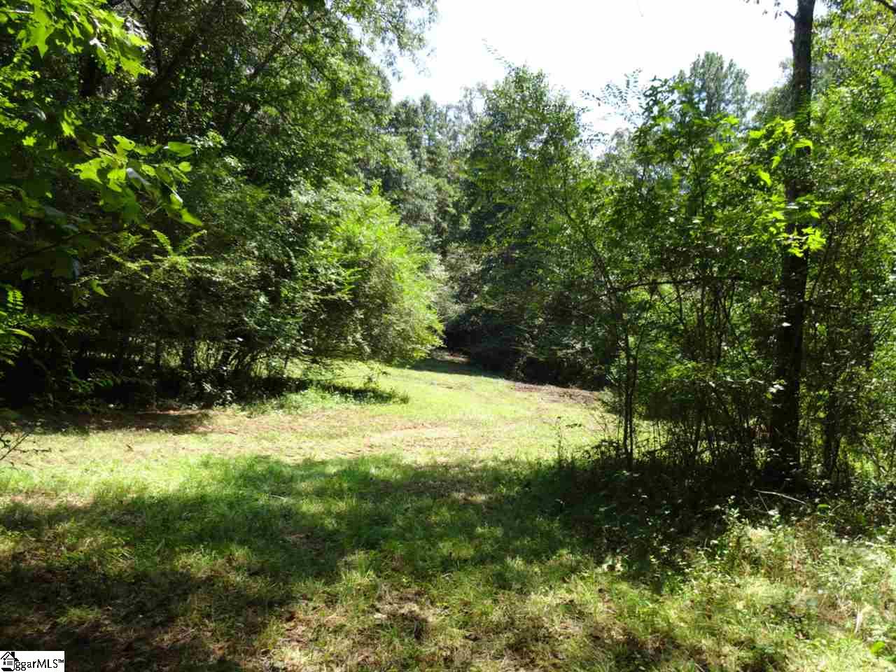 0 Liberty Highway Pendleton, SC 29670 - Photo 12 of 34