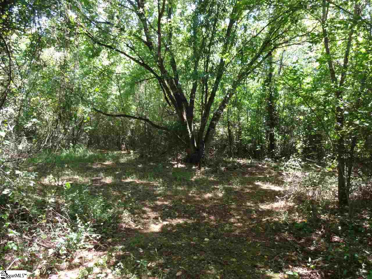 0 Liberty Highway Pendleton, SC 29670 - Photo 15 of 34