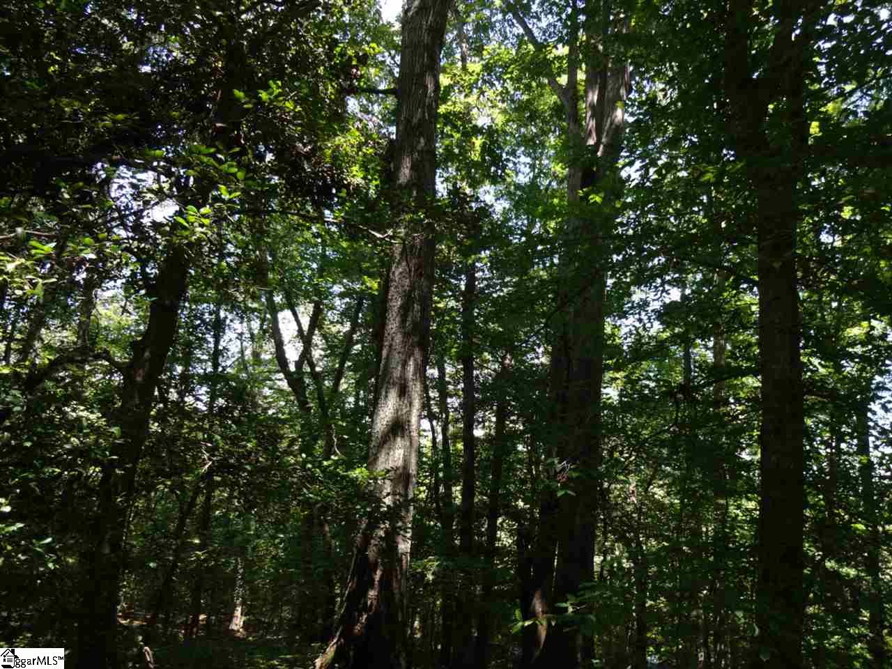 0 Liberty Highway Pendleton, SC 29670 - Photo 16 of 34