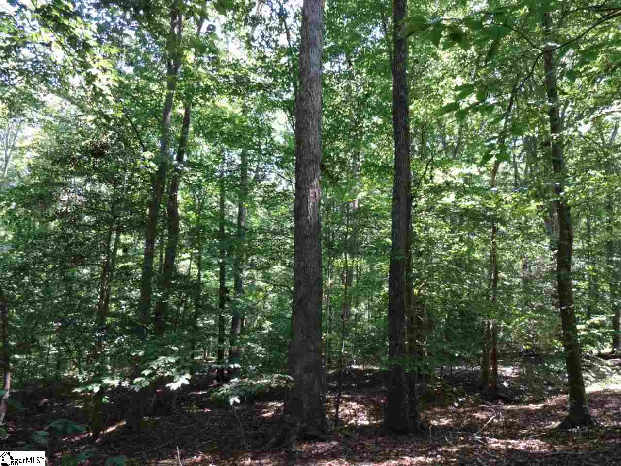 0 Liberty Highway Pendleton, SC 29670 - Photo 17 of 34