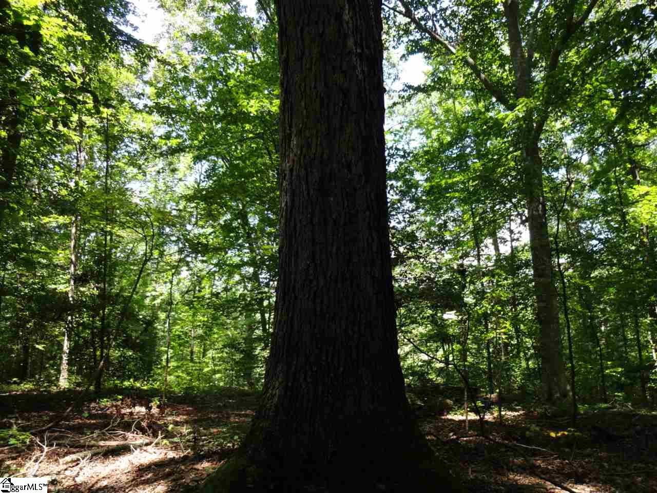 0 Liberty Highway Pendleton, SC 29670 - Photo 18 of 34