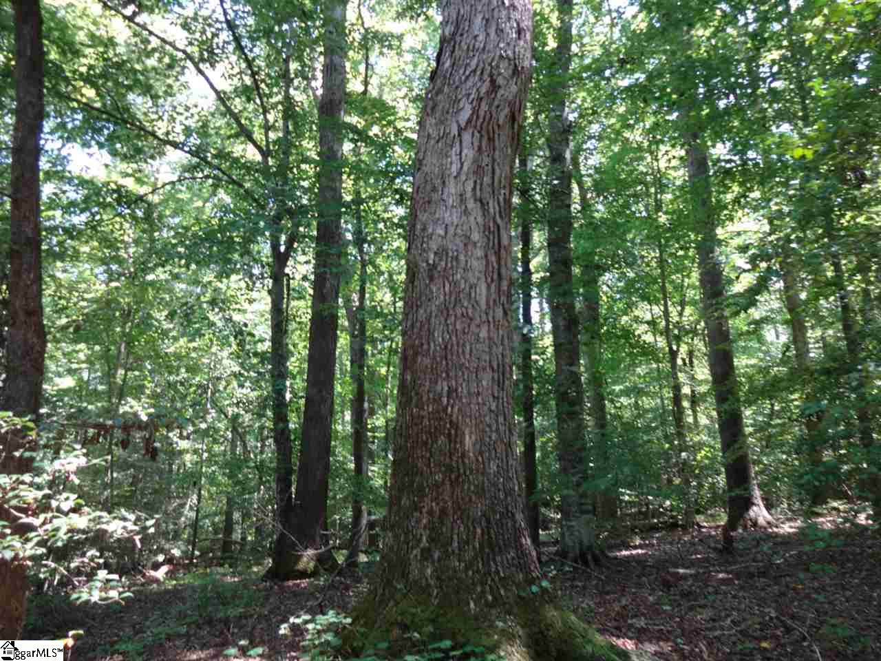 0 Liberty Highway Pendleton, SC 29670 - Photo 19 of 34