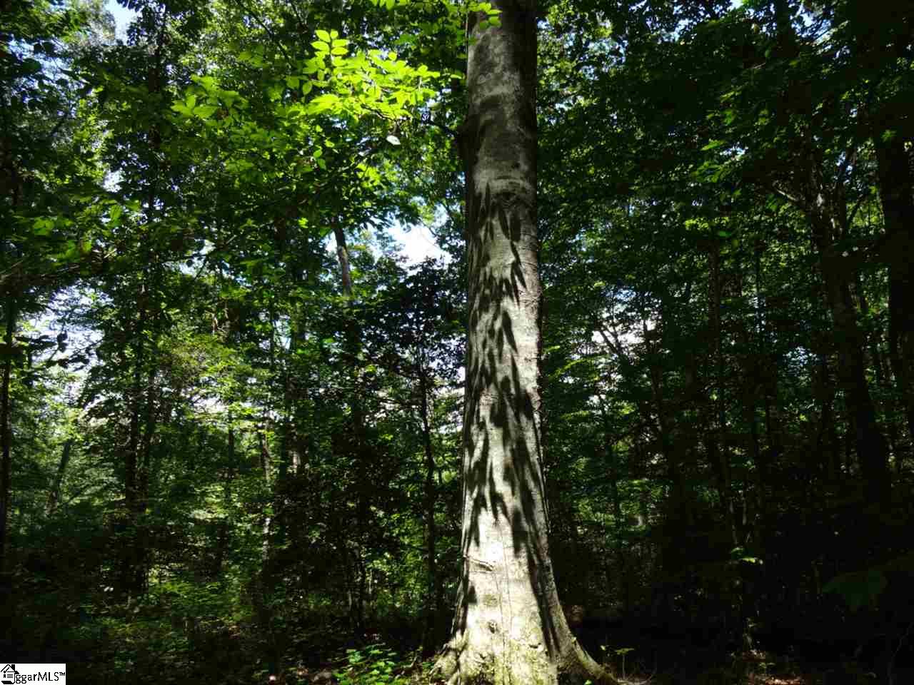 0 Liberty Highway Pendleton, SC 29670 - Photo 20 of 34