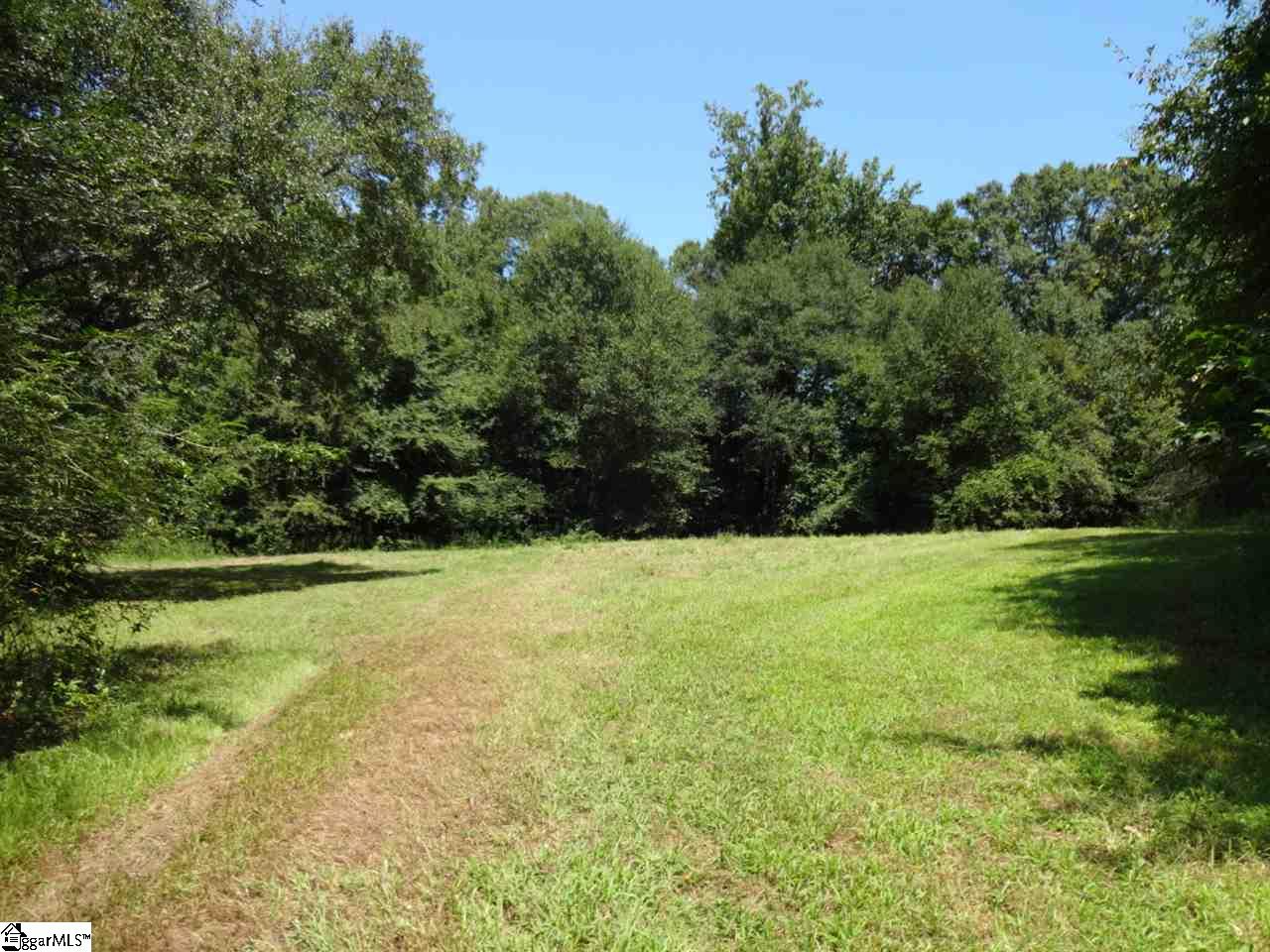 0 Liberty Highway Pendleton, SC 29670 - Photo 3 of 34