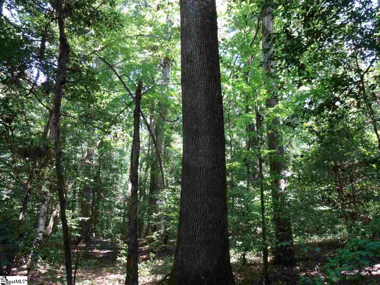 0 Liberty Highway Pendleton, SC 29670 - Photo 21 of 34