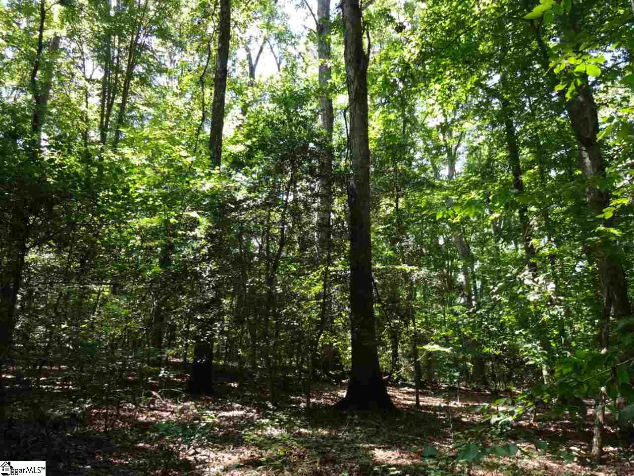 0 Liberty Highway Pendleton, SC 29670 - Photo 22 of 34