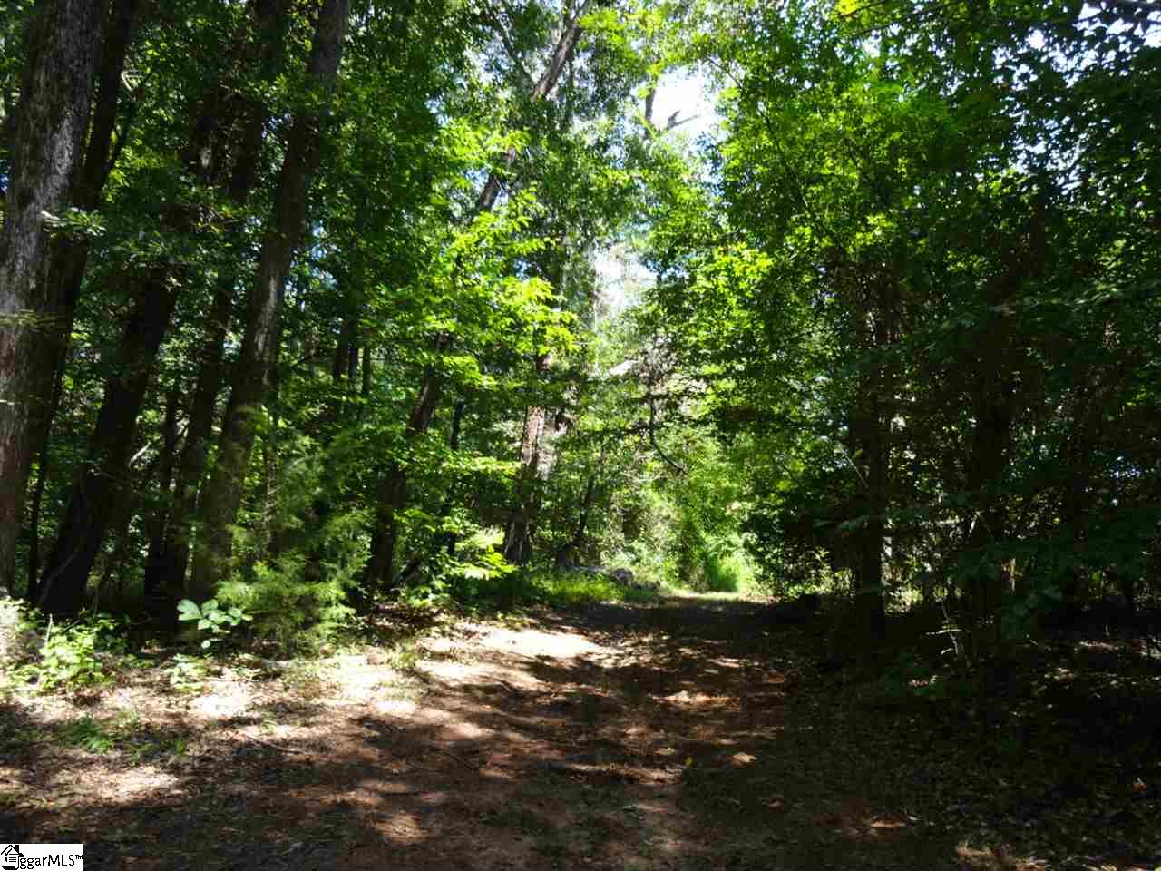 0 Liberty Highway Pendleton, SC 29670 - Photo 23 of 34