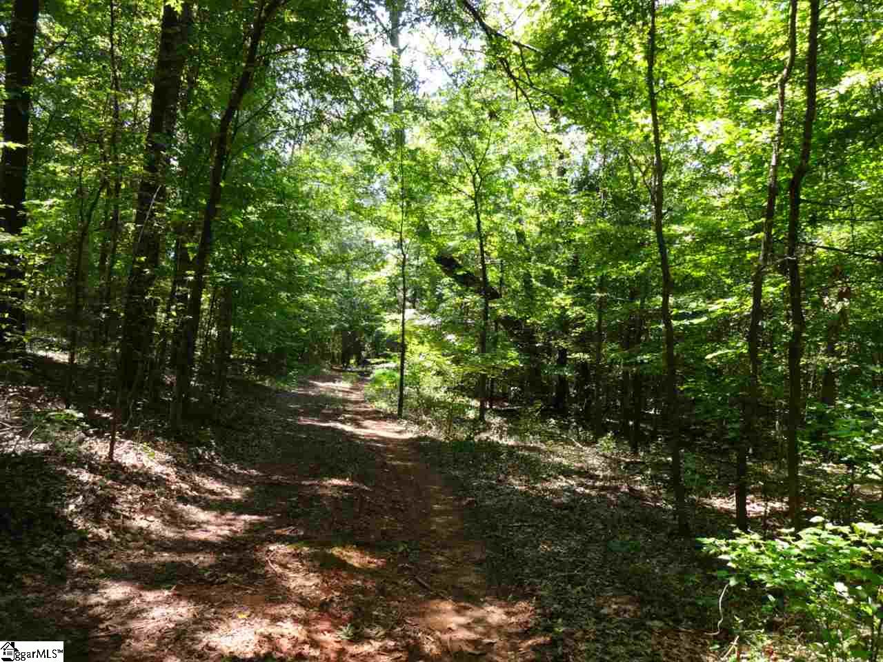 0 Liberty Highway Pendleton, SC 29670 - Photo 24 of 34