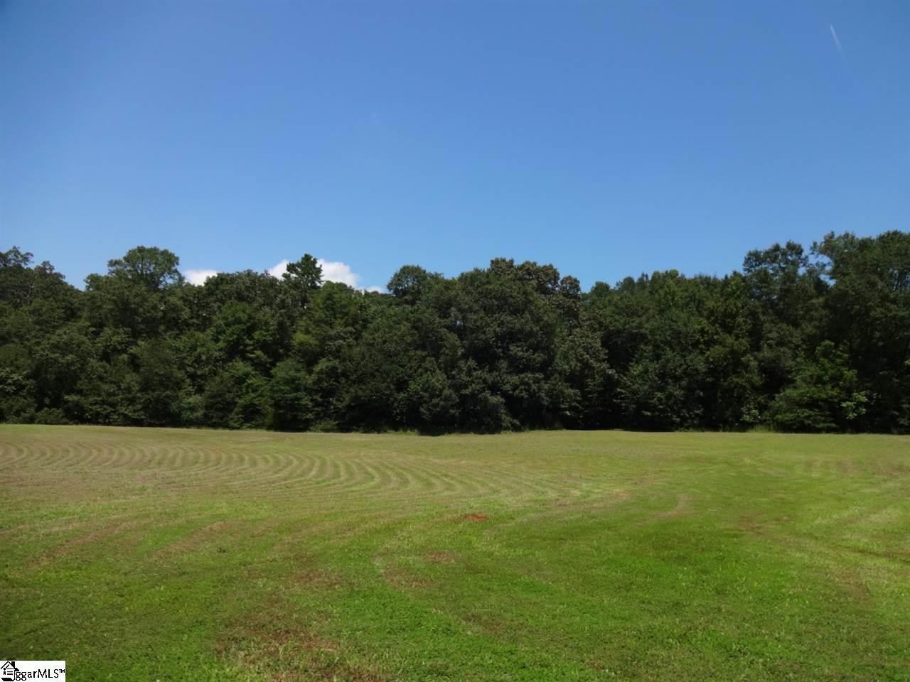 0 Liberty Highway Pendleton, SC 29670 - Photo 25 of 34