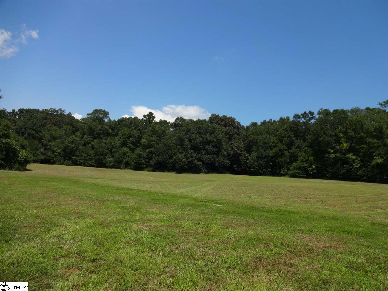 0 Liberty Highway Pendleton, SC 29670 - Photo 26 of 34