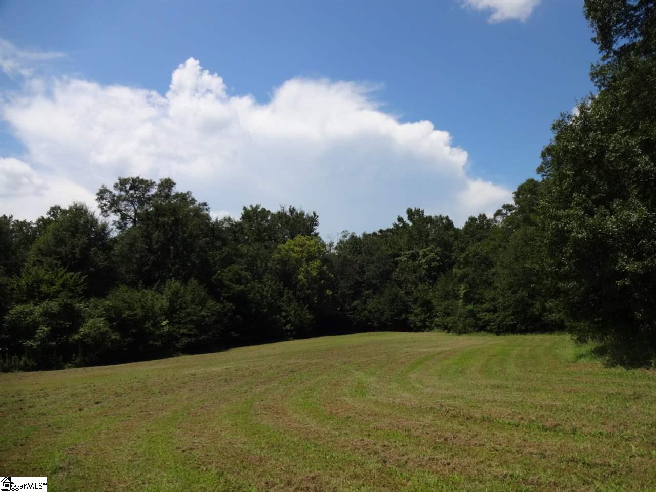 0 Liberty Highway Pendleton, SC 29670 - Photo 4 of 34