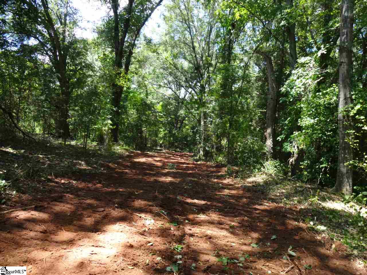 0 Liberty Highway Pendleton, SC 29670 - Photo 6 of 34