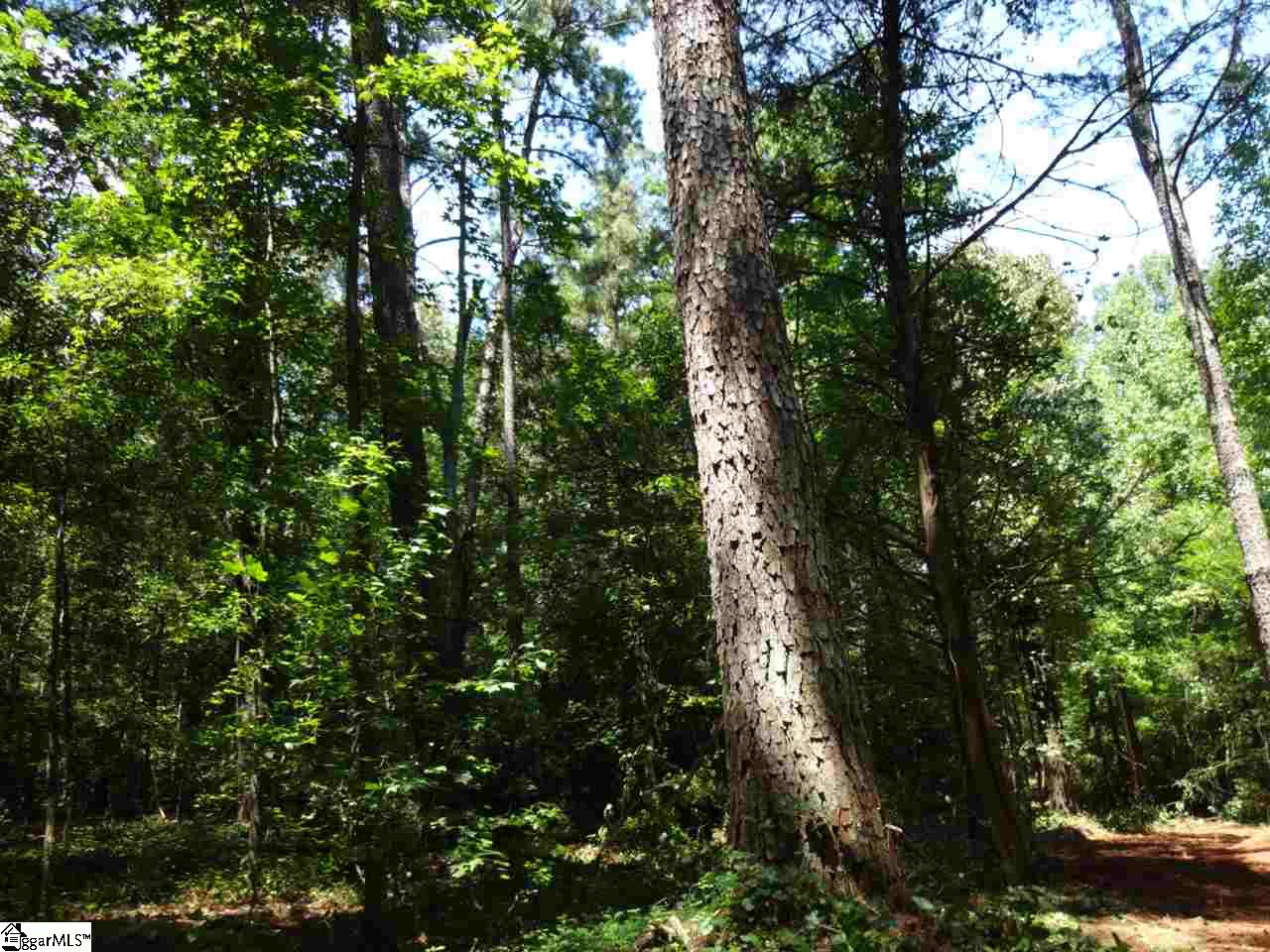 0 Liberty Highway Pendleton, SC 29670 - Photo 7 of 34