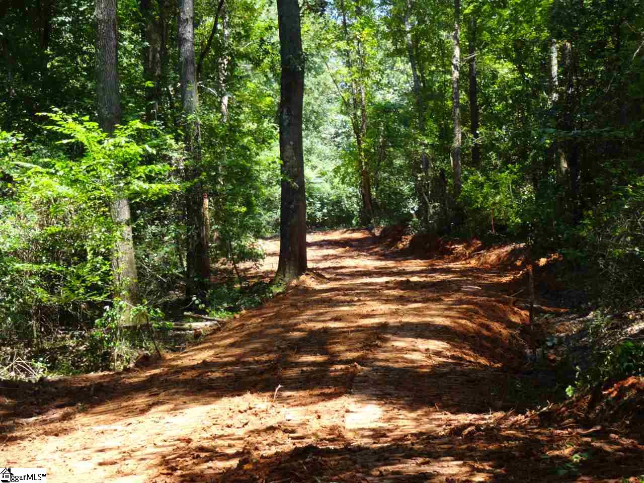 0 Liberty Highway Pendleton, SC 29670 - Photo 8 of 34