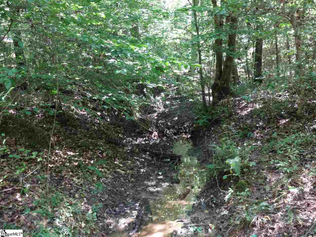 0 Liberty Highway Pendleton, SC 29670 - Photo 9 of 34