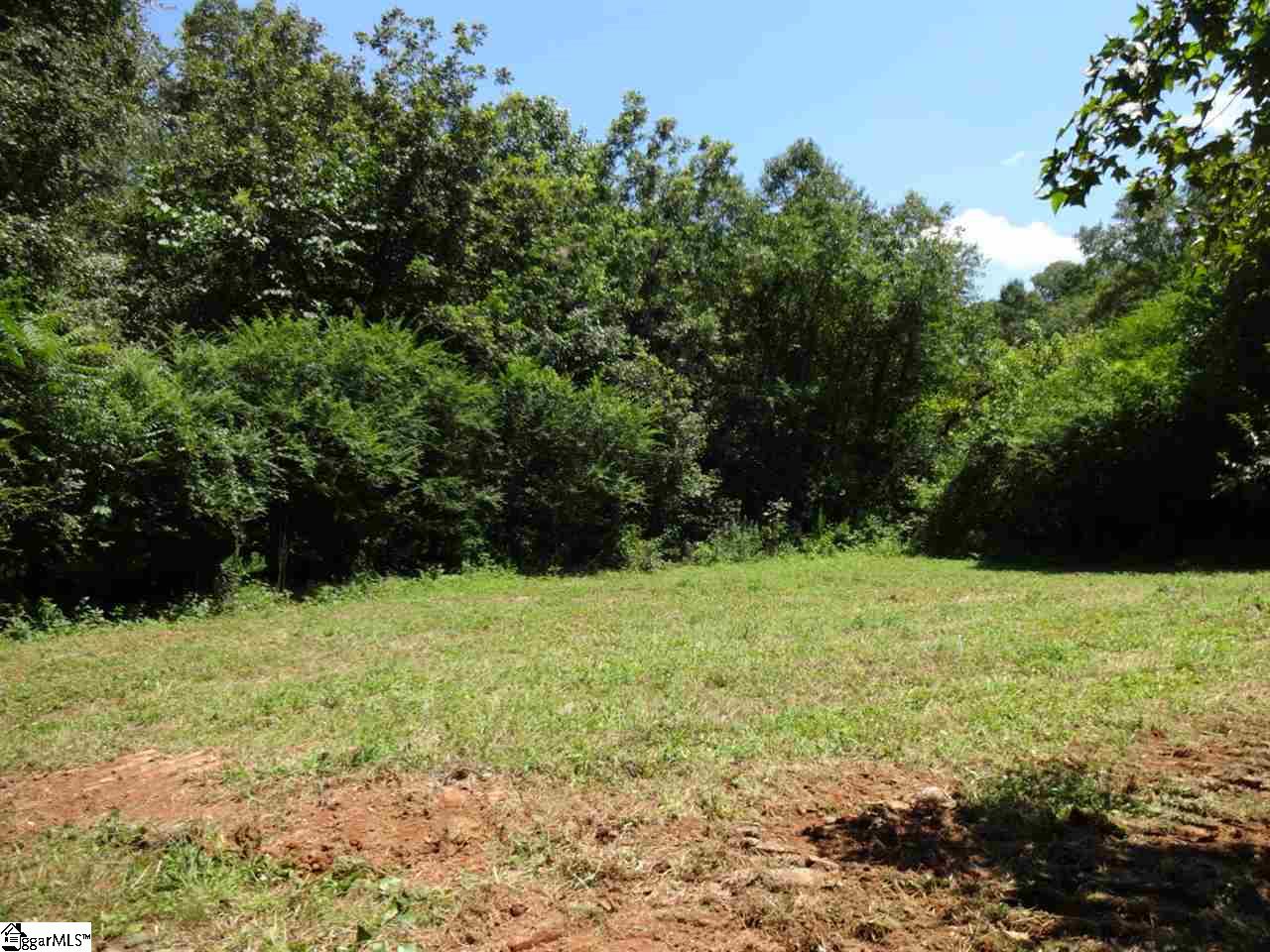 0 Liberty Highway Pendleton, SC 29670 - Photo 10 of 34