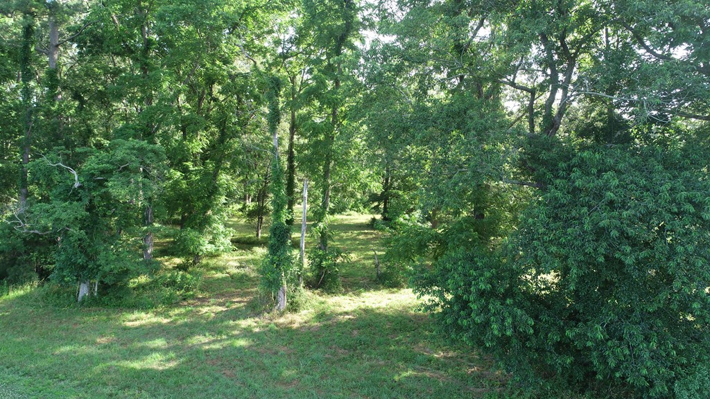 N/a Bobtown Road Melfa, VA 23410 - Photo 5 of 7