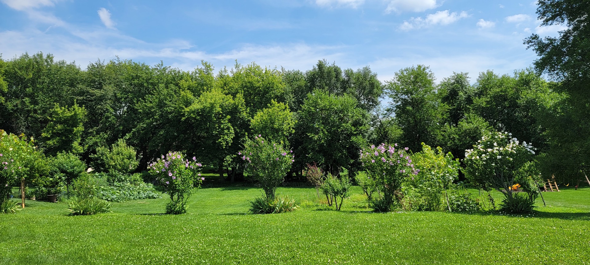 a view of green field with trees in the background