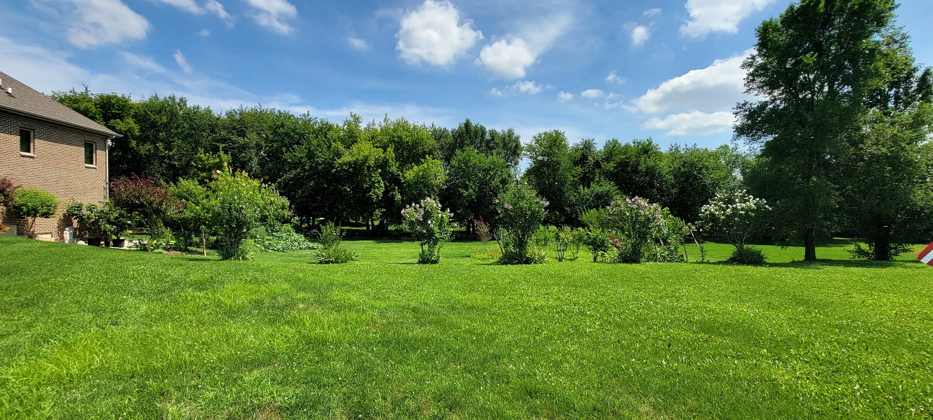 3059 Longcommon Parkway Elgin, IL 60124 - Photo 2 of 13 a view of a big yard with a house in the background