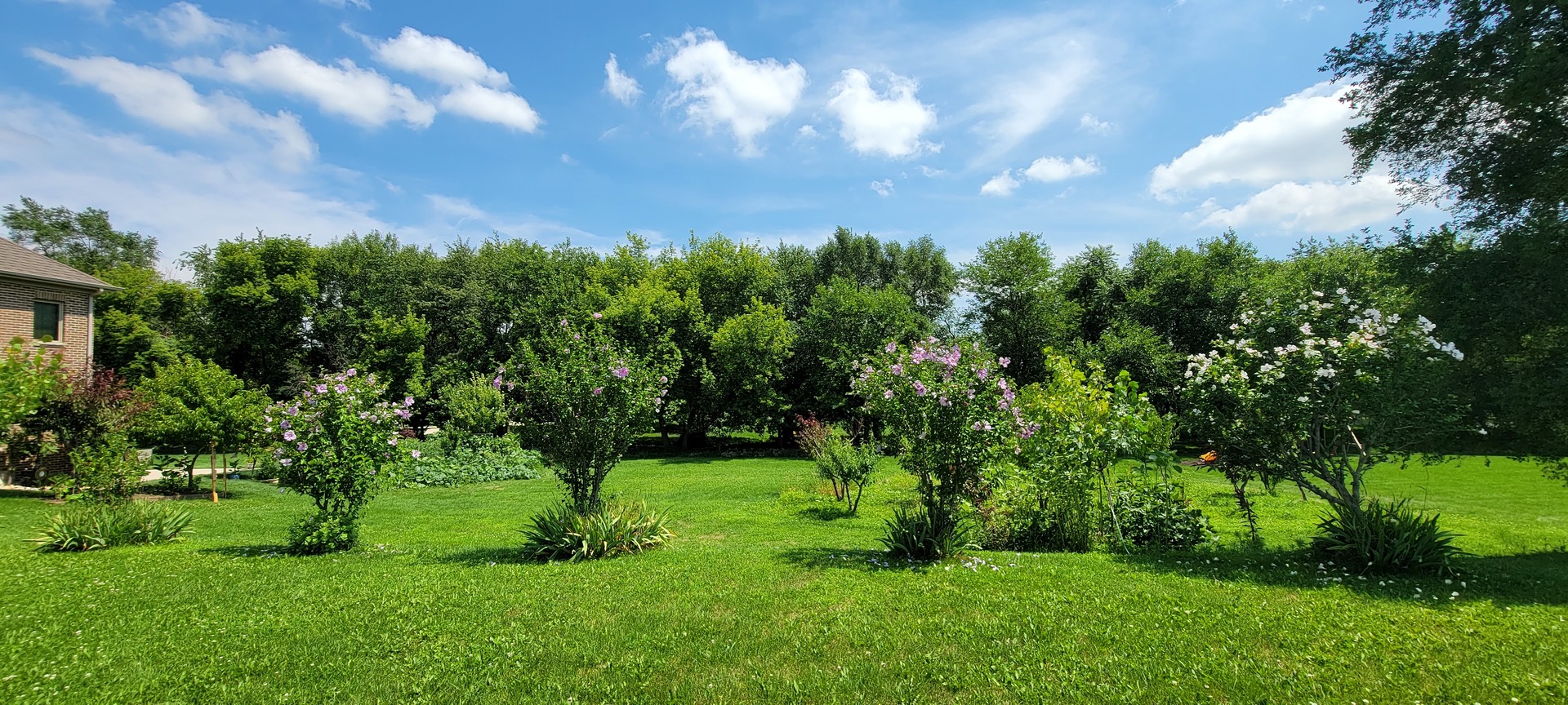 3059 Longcommon Parkway Elgin, IL 60124 - Photo 4 of 13 a view of yard with green space