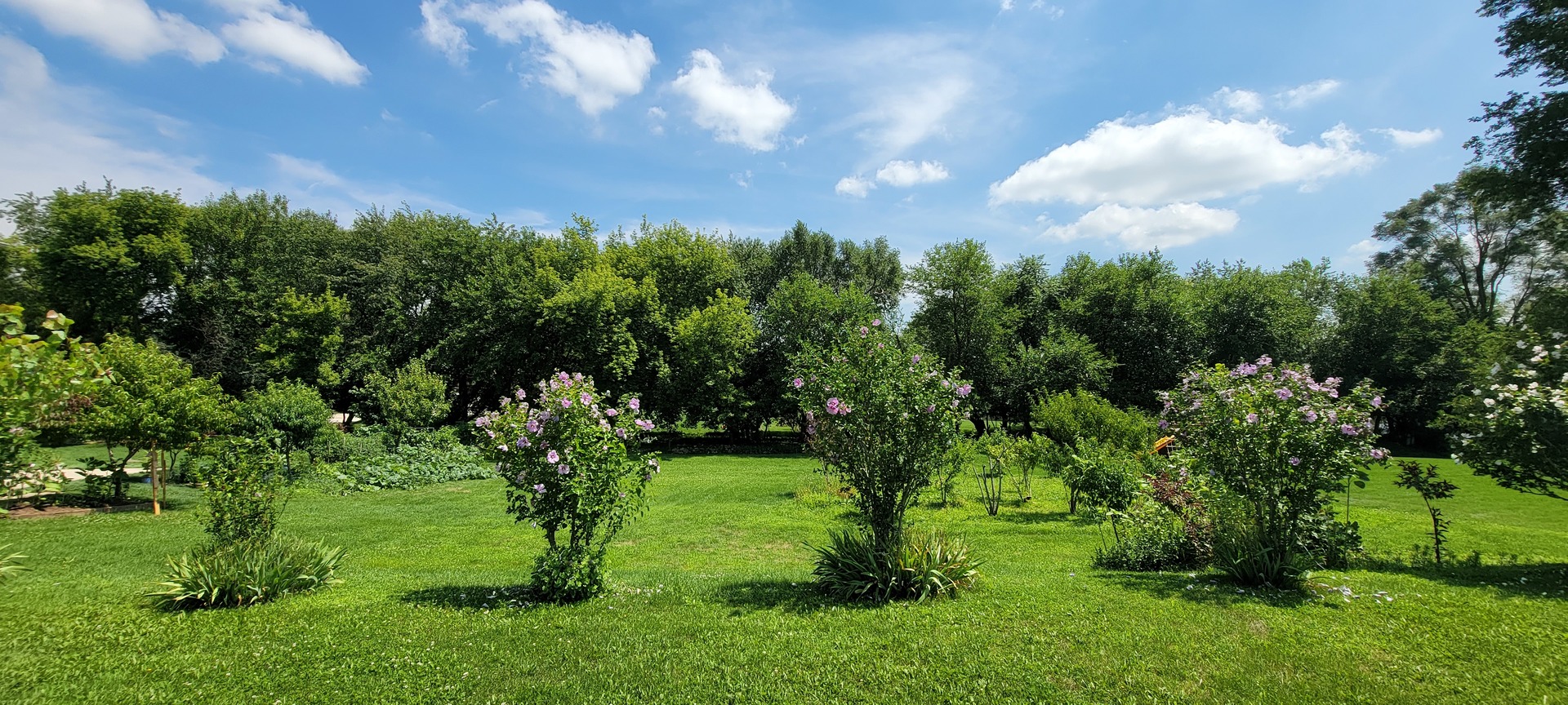 3059 Longcommon Parkway Elgin, IL 60124 - Photo 5 of 13 a view of a garden