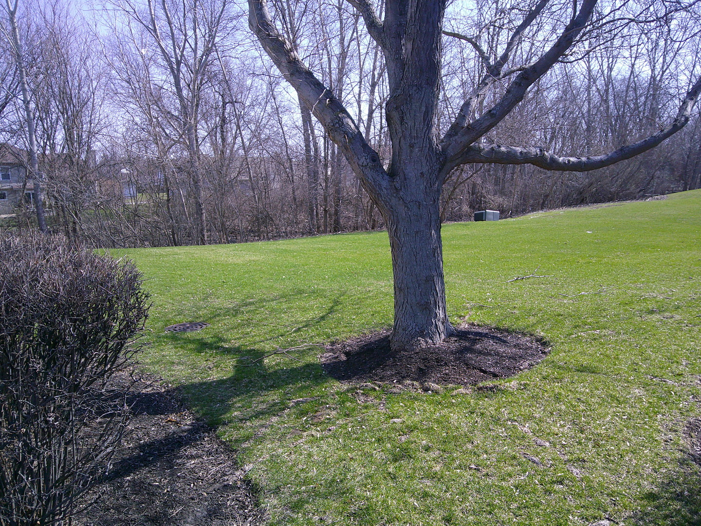 741 Meridian Court DeKalb, IL 60115 - Photo 2 of 23