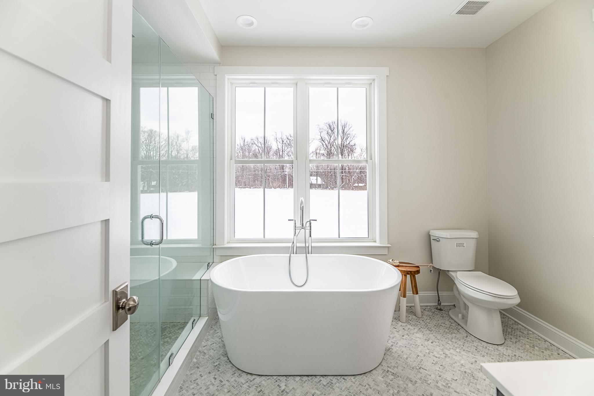 13762 Taylorstown Road Leesburg, VA 20176 - Photo 14 of 36 Amazing tub in master bathroom
