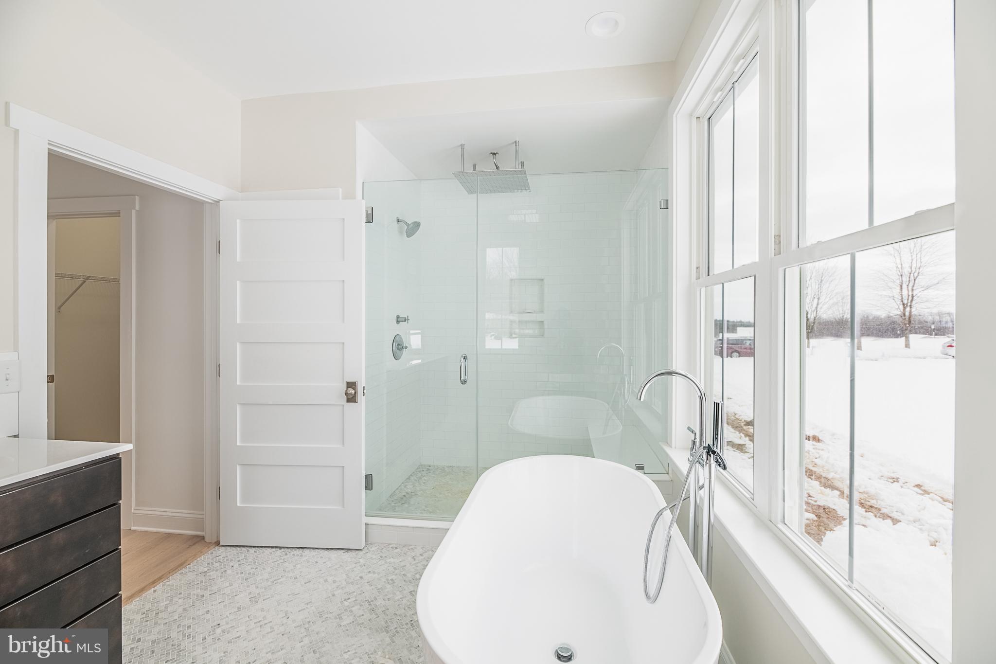 13762 Taylorstown Road Leesburg, VA 20176 - Photo 15 of 36 Incredible rain showerhead!