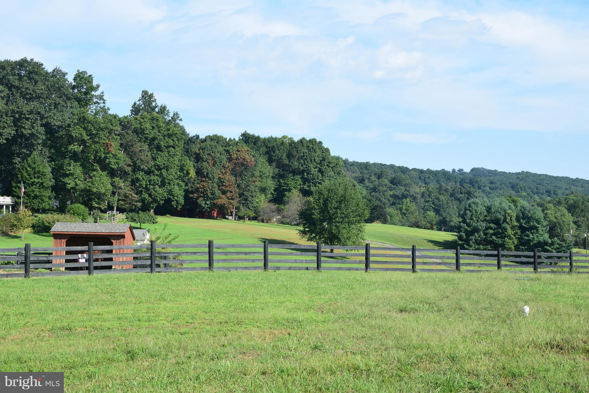 13762 Taylorstown Road Leesburg, VA 20176 - Photo 29 of 36 Sunny backyard