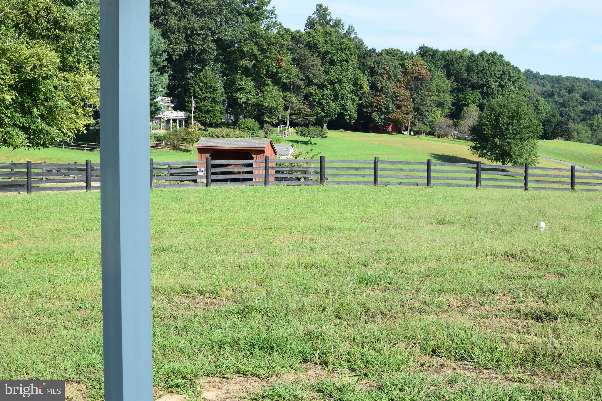 13762 Taylorstown Road Leesburg, VA 20176 - Photo 30 of 36 Sunny backyard with friendly horses next door!