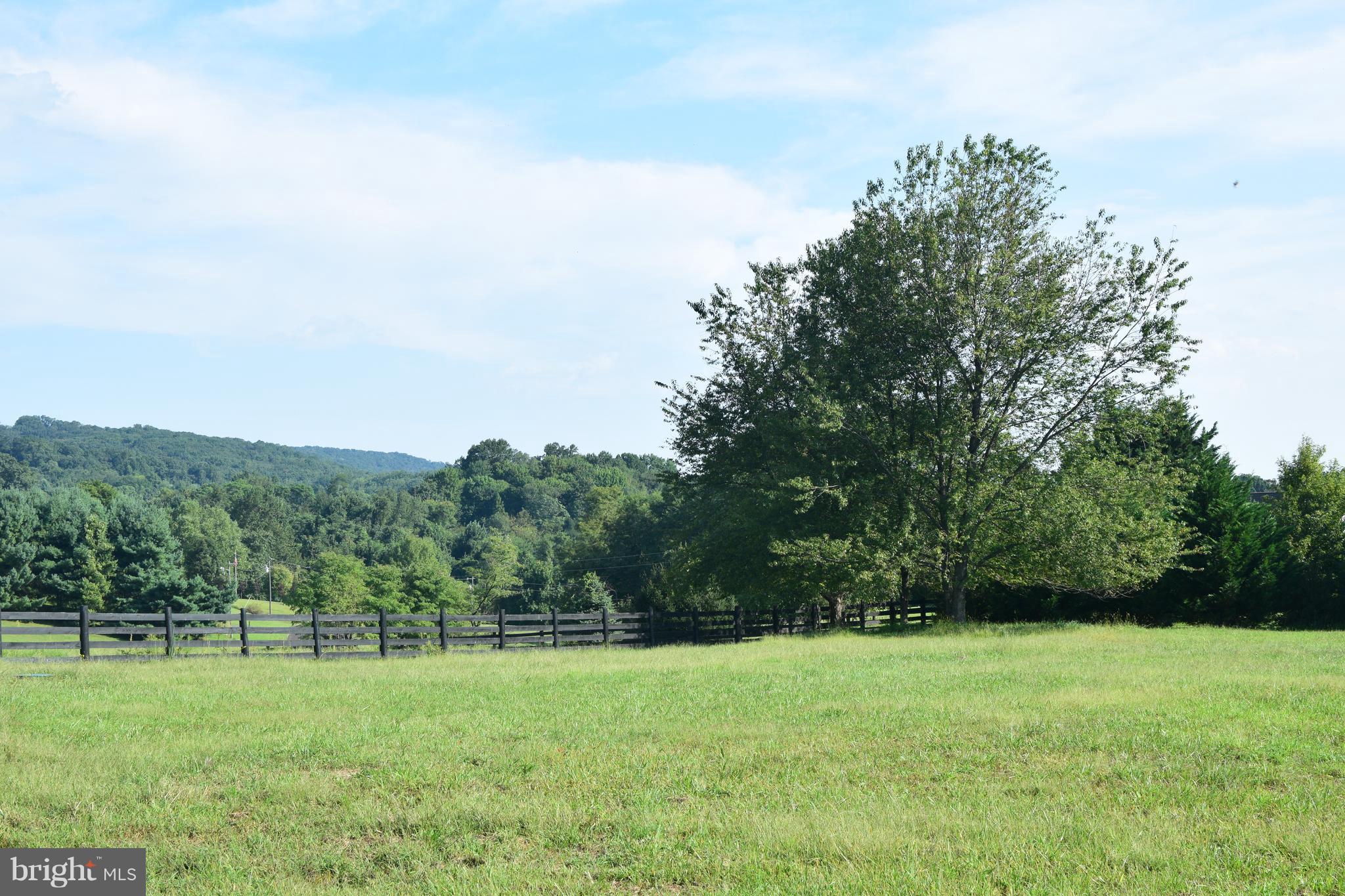 13762 Taylorstown Road Leesburg, VA 20176 - Photo 31 of 36 Sunny backyard