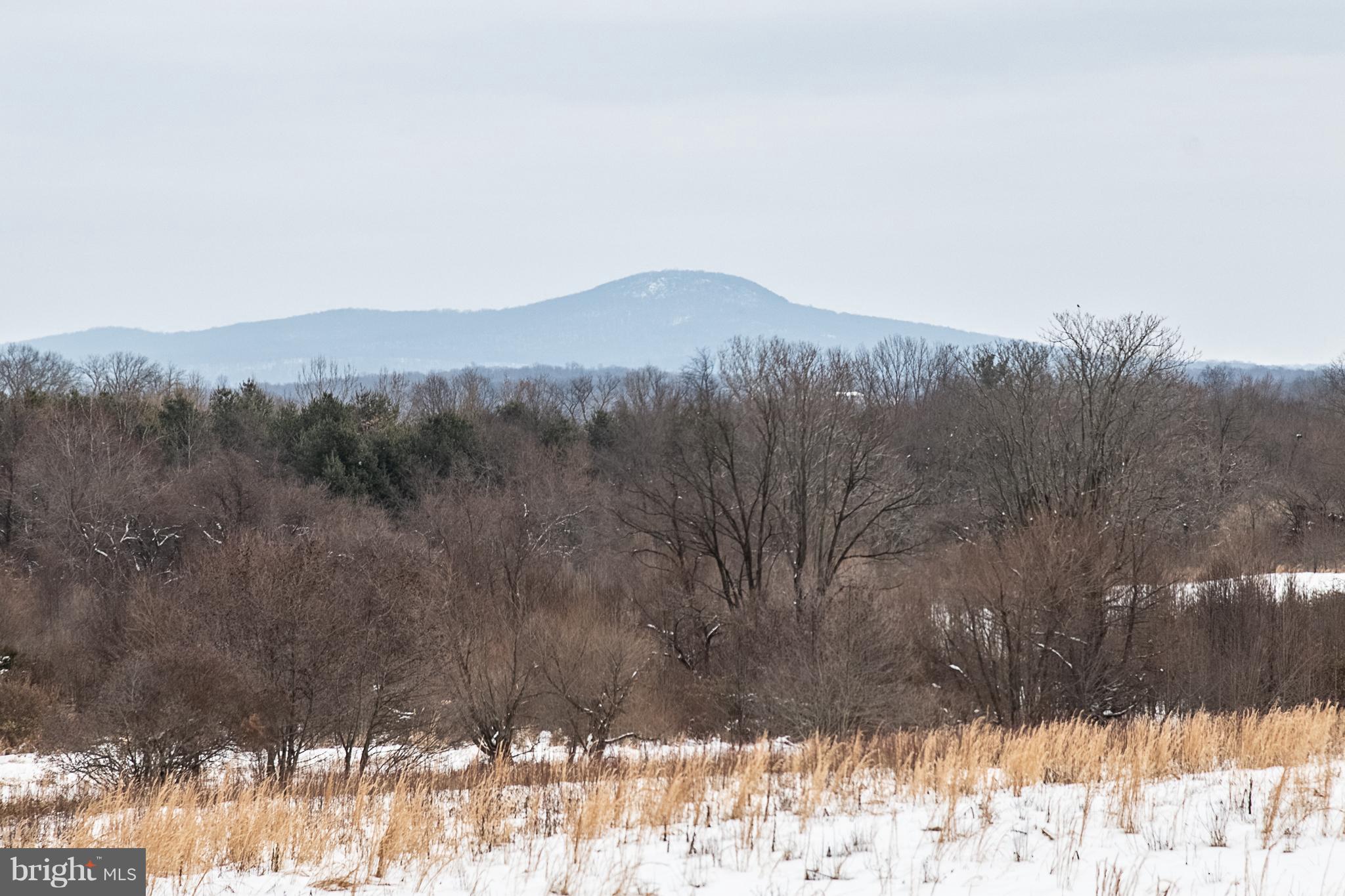 13762 Taylorstown Road Leesburg, VA 20176 - Photo 32 of 36 Sugarloaf Mountain views nearby!