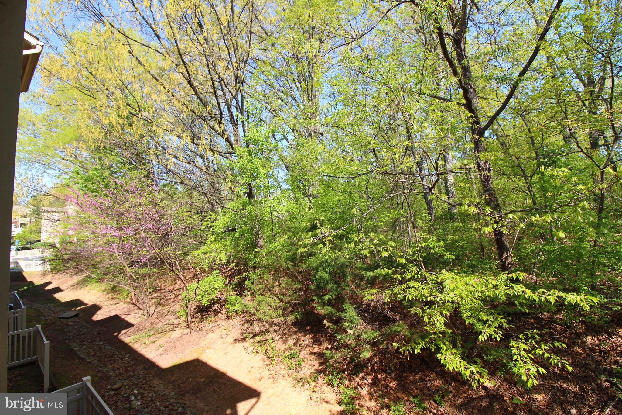 1702 Ascot Way, Unit D Reston, VA 20190 - Photo 7 of 7 Exterior (Rear)