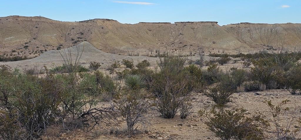 399 Grass Draw Road Terlingua, TX 79852 - Photo 1 of 18 Main View