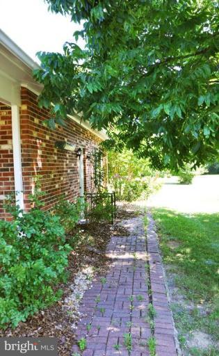 3600 Apple Pie Ridge Road Winchester, VA 22603 - Photo 27 of 30 Walkway at rear of house