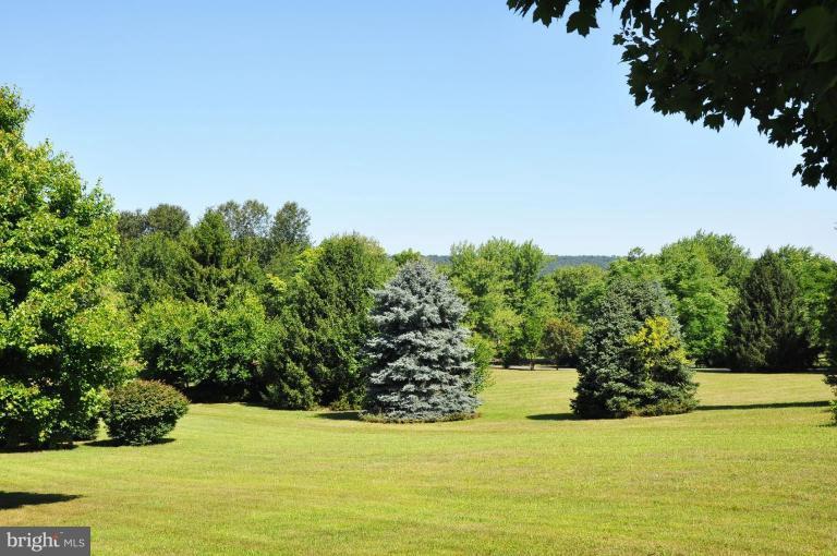 3600 Apple Pie Ridge Road Winchester, VA 22603 - Photo 6 of 30 Mountain View 1