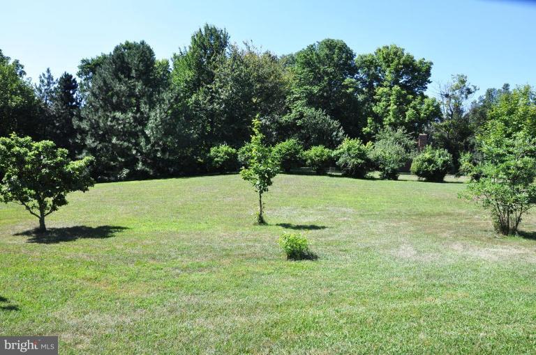 3600 Apple Pie Ridge Road Winchester, VA 22603 - Photo 8 of 30 Back yard