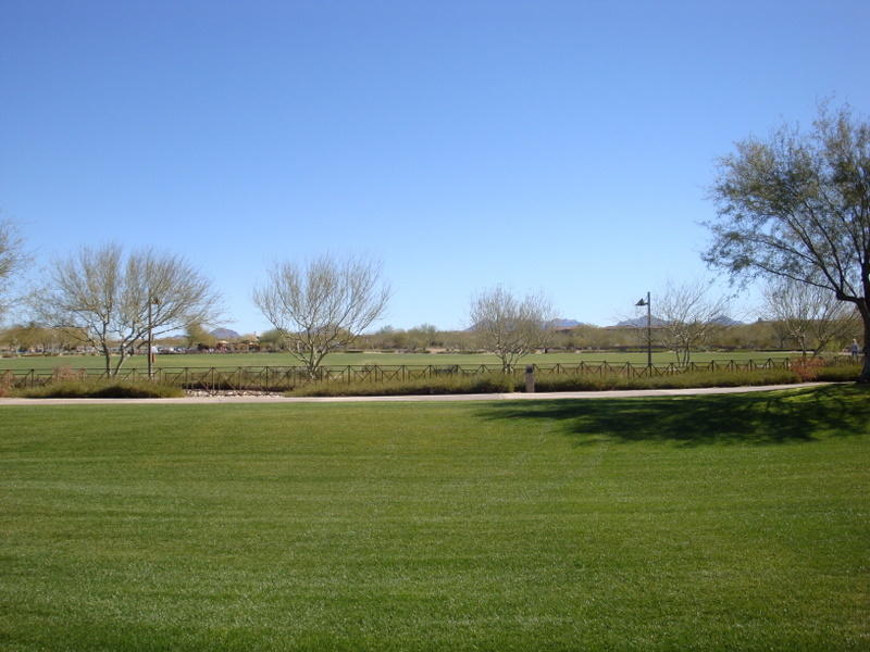 3935 East Rough Rider Road North, Unit 1035 Phoenix, AZ 85050 - Photo 58 of 59 DSC00995