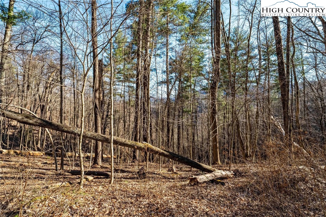 Lonesome Pine Trail Butler, TN 37640 - Photo 19 of 41 a view of outdoor space with wooden fence