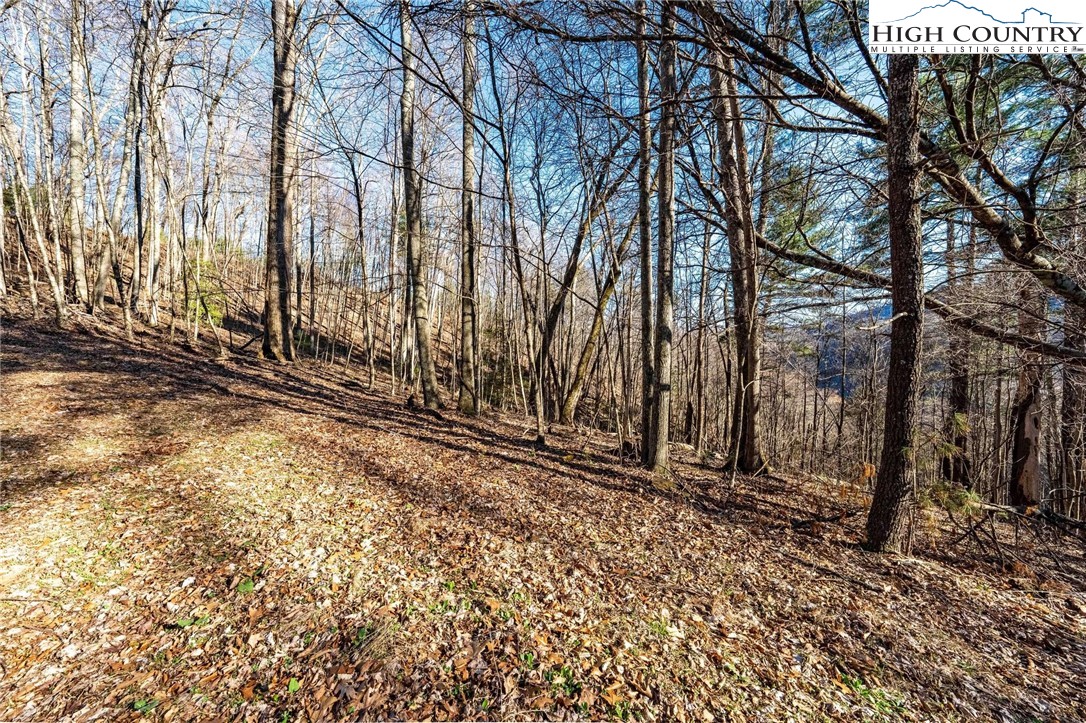 Lonesome Pine Trail Butler, TN 37640 - Photo 20 of 41 a view of a backyard of the house