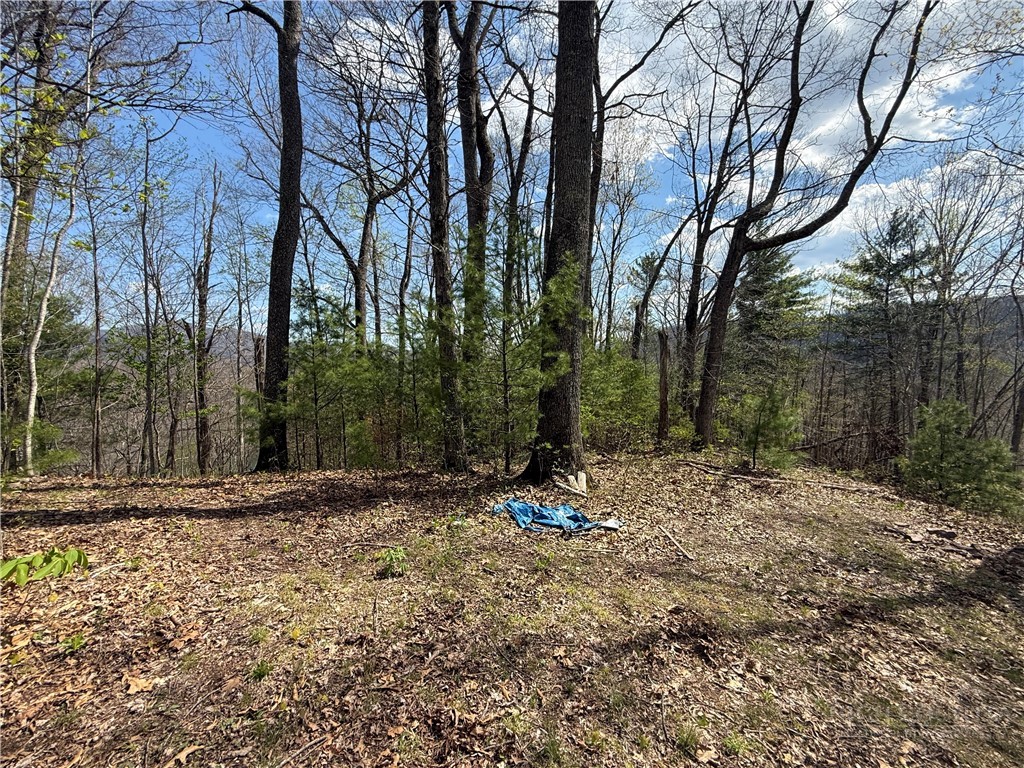 Lonesome Pine Trail Butler, TN 37640 - Photo 2 of 41 a backyard of a house with trees
