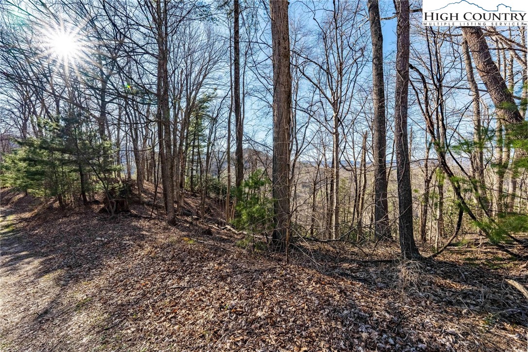 Lonesome Pine Trail Butler, TN 37640 - Photo 21 of 41 a view of outdoor space with lots of trees