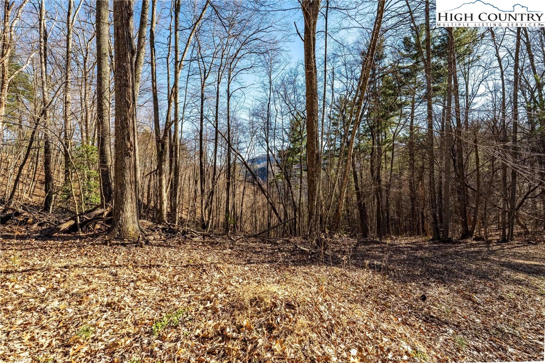 Lonesome Pine Trail Butler, TN 37640 - Photo 22 of 41 a view of wooden fence