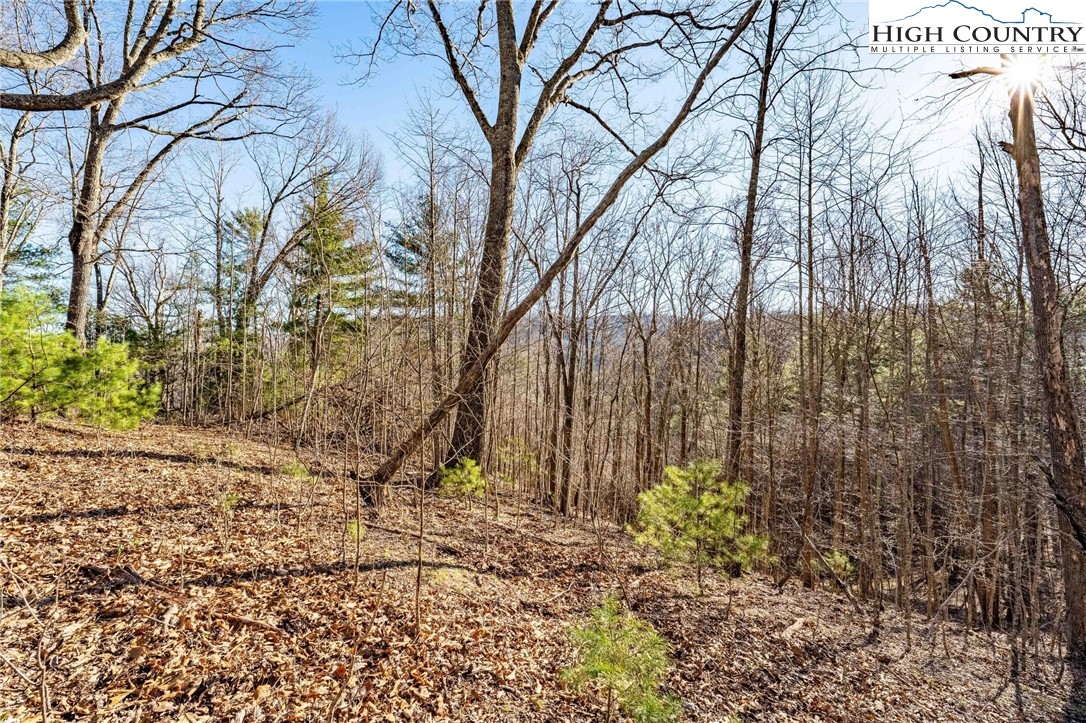 Lonesome Pine Trail Butler, TN 37640 - Photo 23 of 41 a backyard of a house with lots of green space