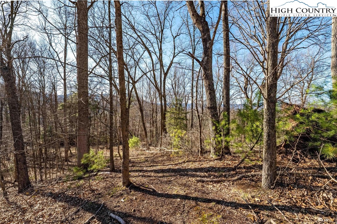 Lonesome Pine Trail Butler, TN 37640 - Photo 24 of 41 a view of a backyard with large trees