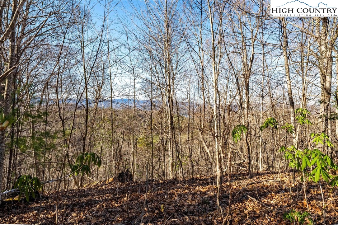 Lonesome Pine Trail Butler, TN 37640 - Photo 25 of 41 a view of a yard