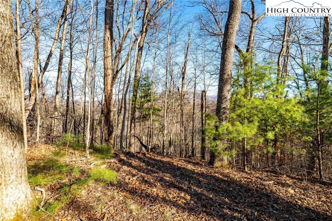 Lonesome Pine Trail Butler, TN 37640 - Photo 26 of 41 a view of a backyard of the house