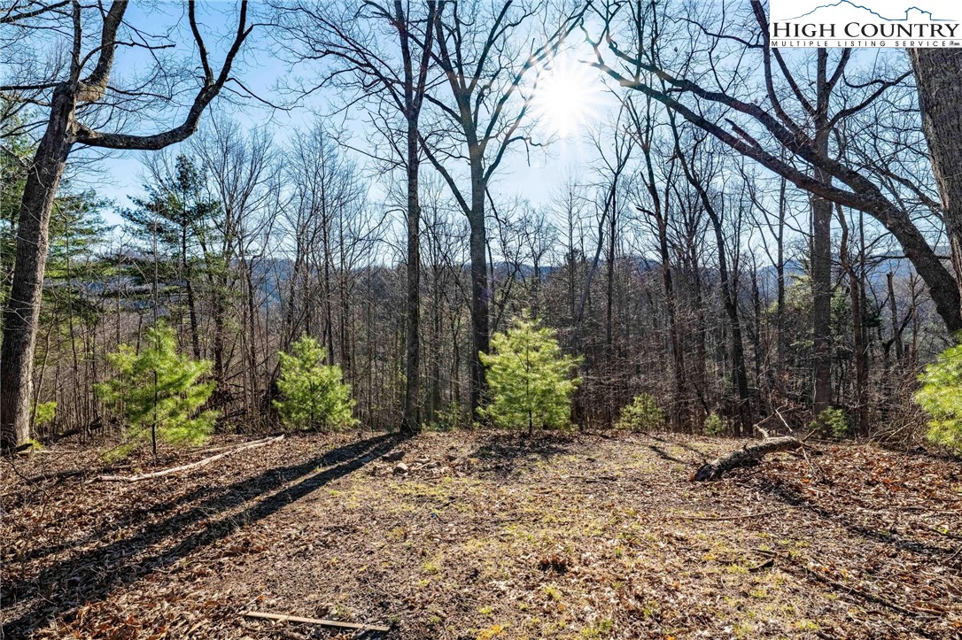 Lonesome Pine Trail Butler, TN 37640 - Photo 27 of 41