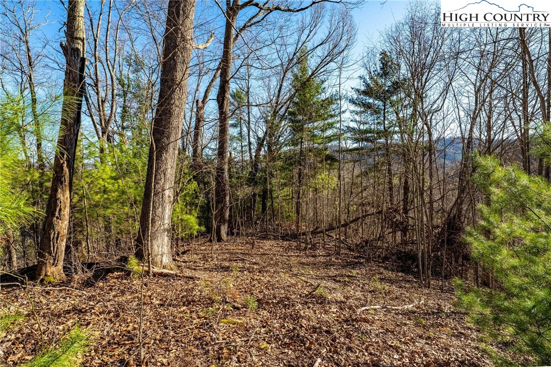 Lonesome Pine Trail Butler, TN 37640 - Photo 28 of 41 a backyard of a house with lots of green space