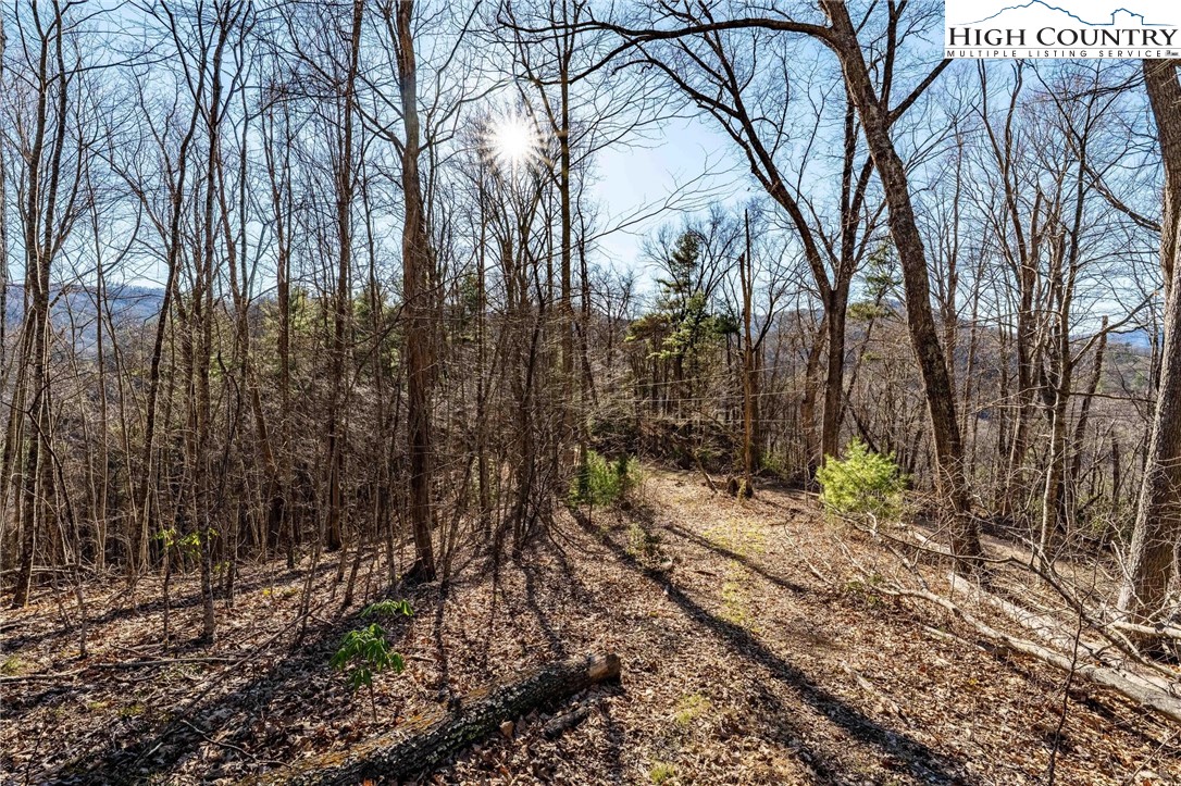 Lonesome Pine Trail Butler, TN 37640 - Photo 29 of 41 a backyard of a house with lots of green space